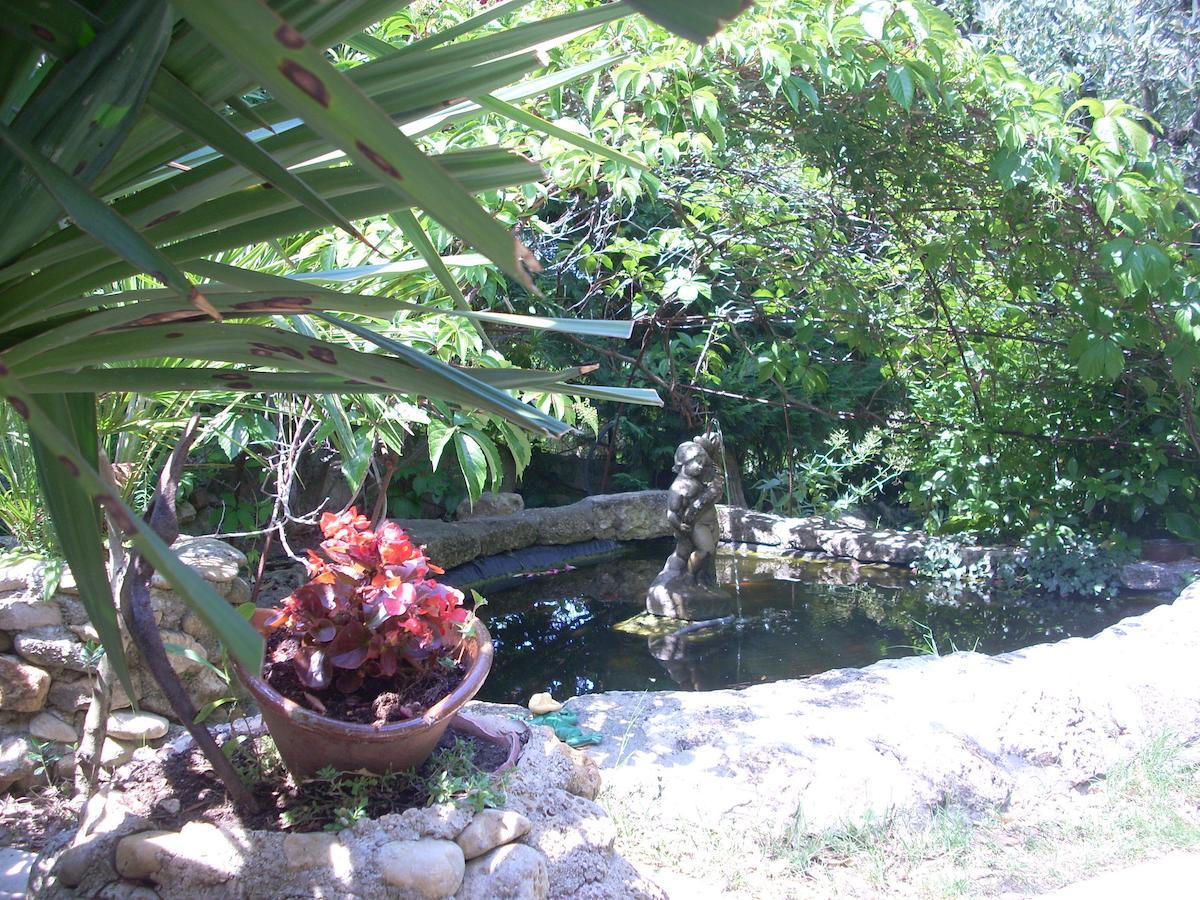 La Sapiniere -Chambres Climatisees Buisson ภายนอก รูปภาพ